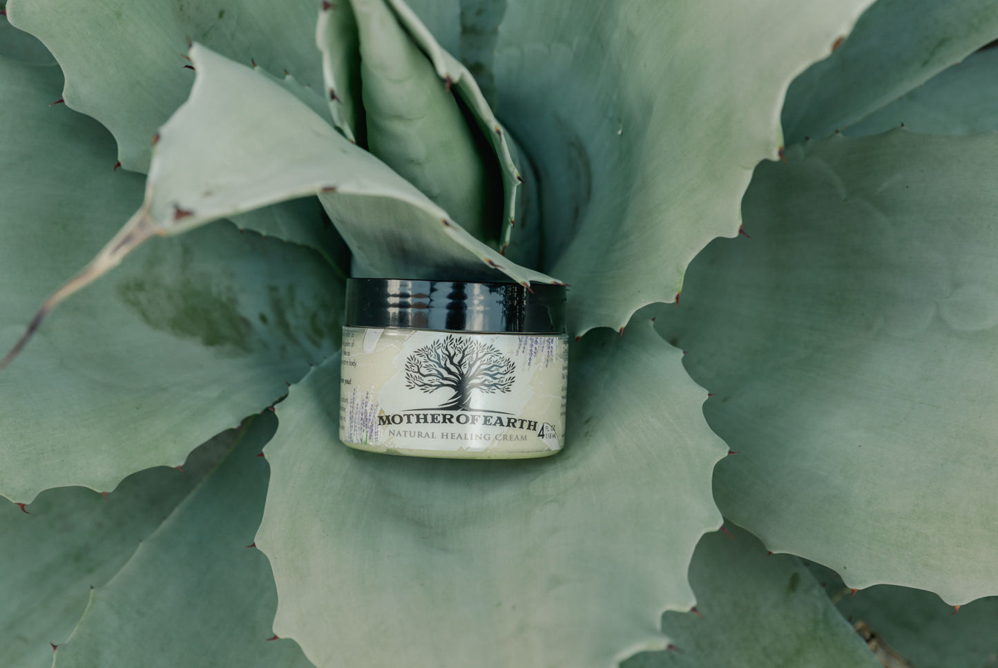 M.O.E. Healing Blend (1) 4oz